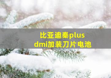 比亚迪秦plus dmi加装刀片电池